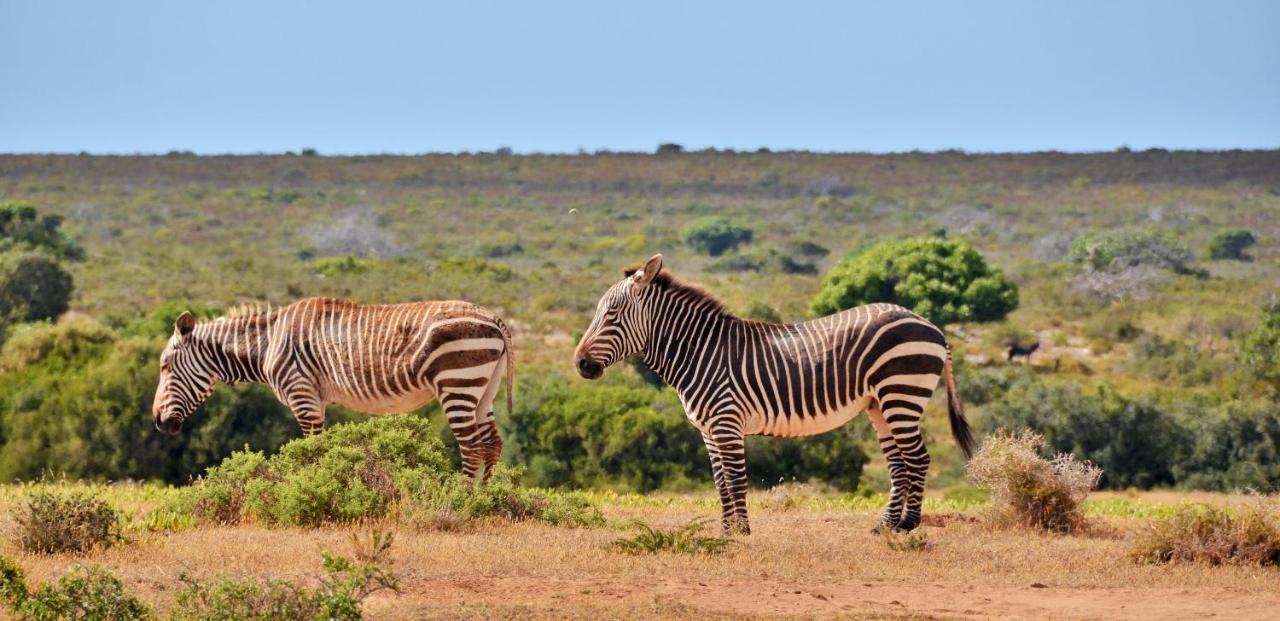 De Hoop Collection - Vlei Cottages De Hoop Nature Reserve Esterno foto